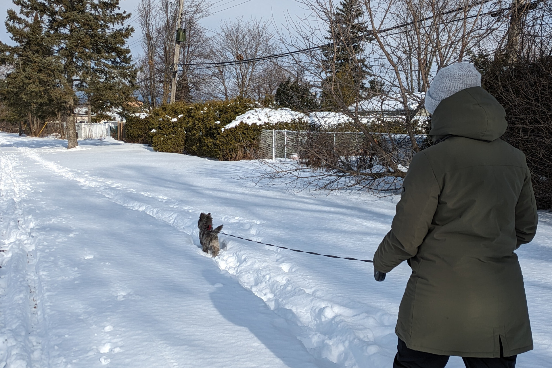 Koda et moi qui marchons dans la neige