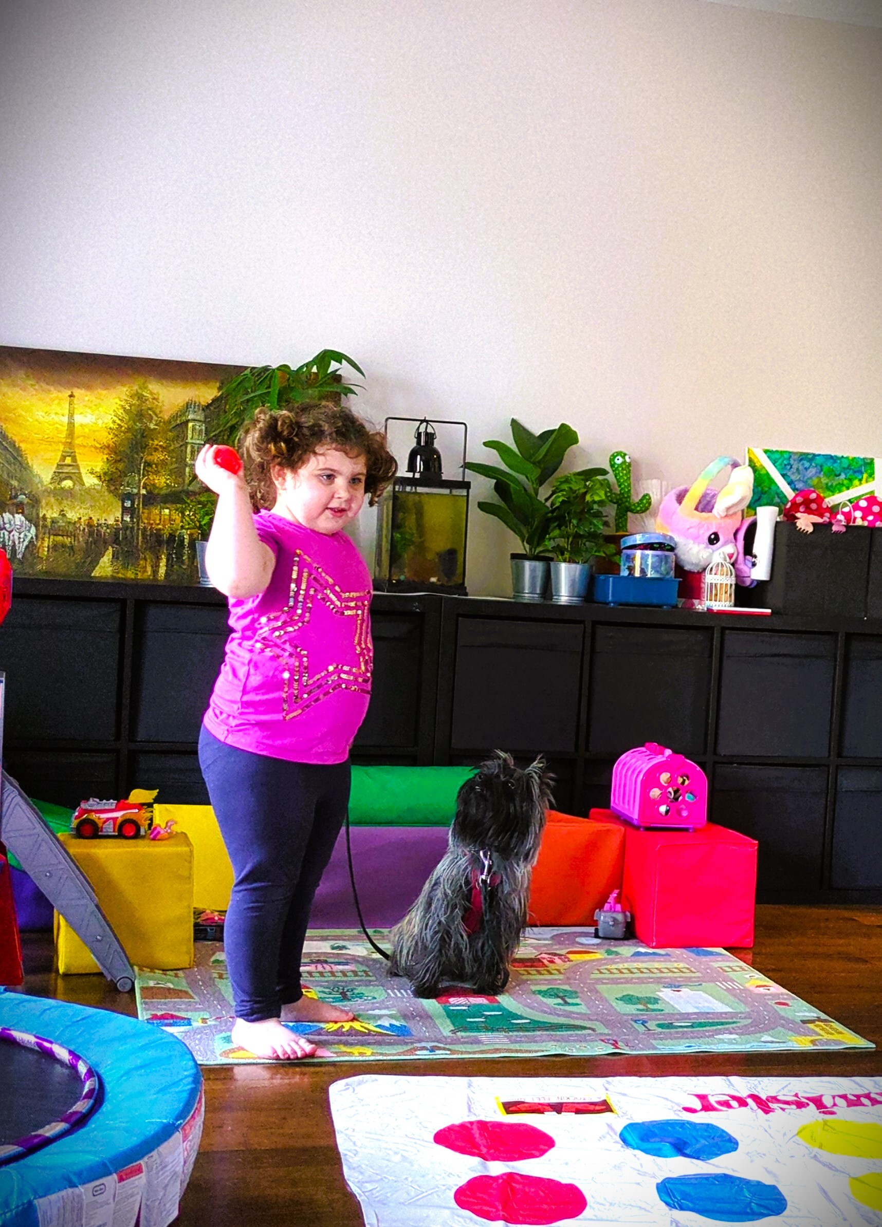 Enfant se concentre pour lancer une balle à Koda